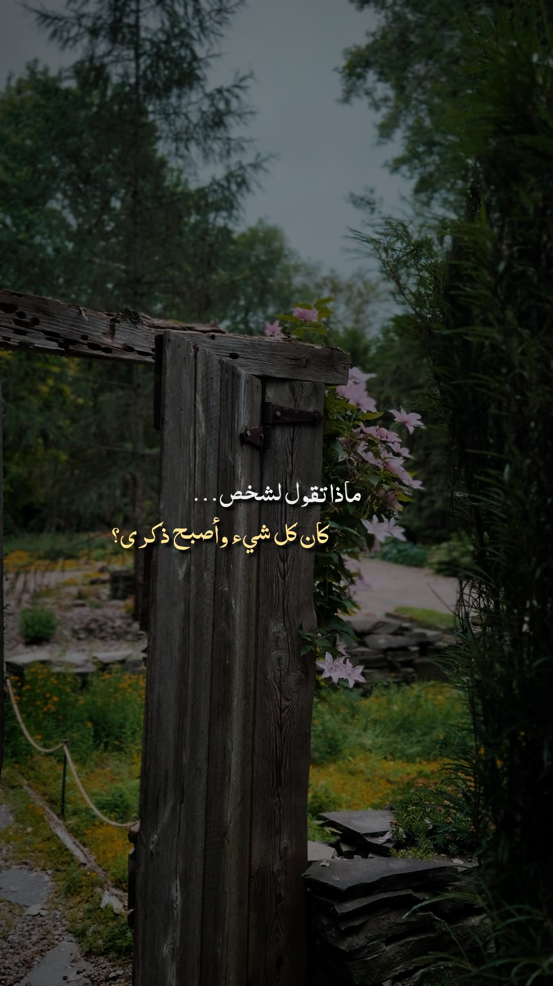@Rayan El Ayoubi