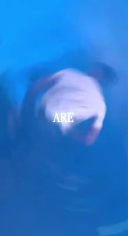 @Bugzy vibes fan account