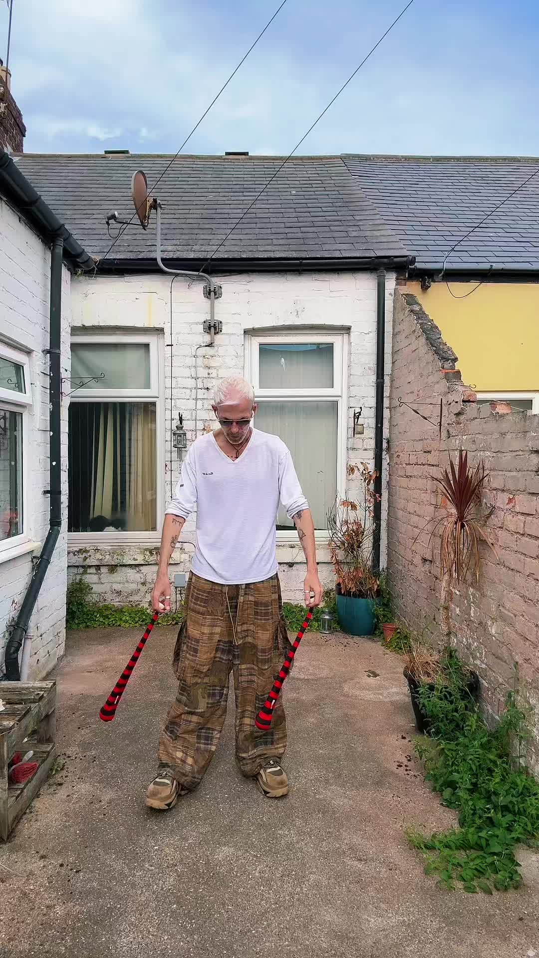 @zebradavid