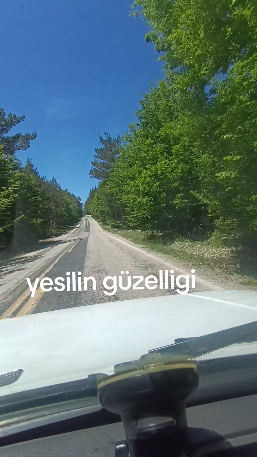 @🅣🅤🅡🅖🅤🅣 ❺❷