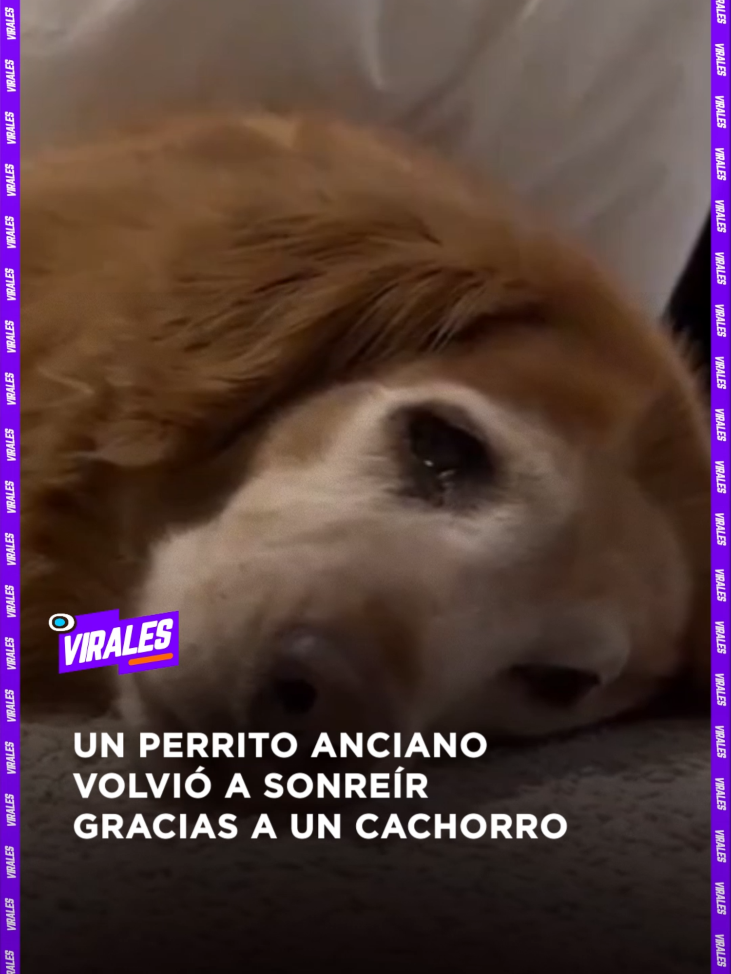 @RED UNO DE BOLIVIA