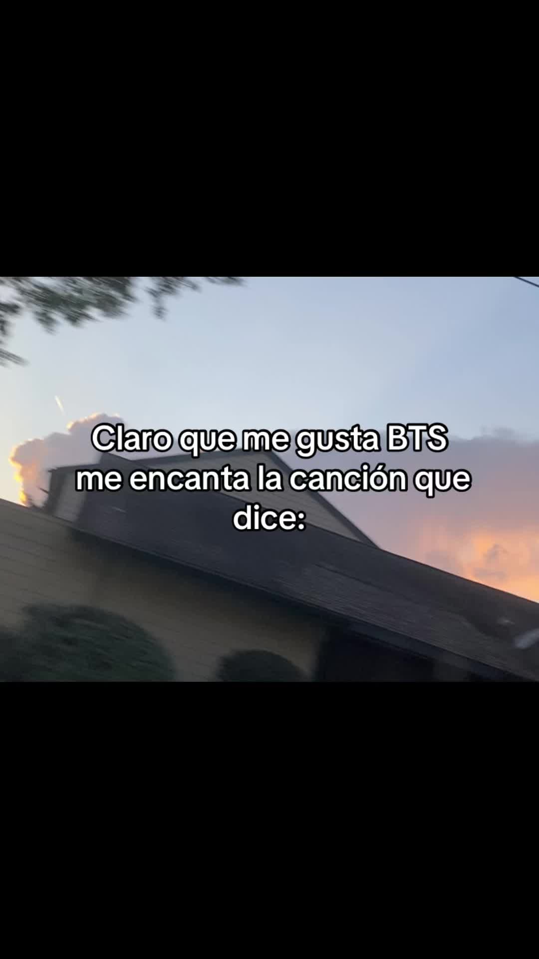 @🇸🇻