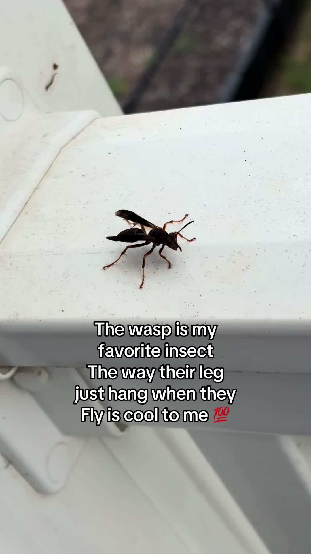 @BIGMACSAUCE99