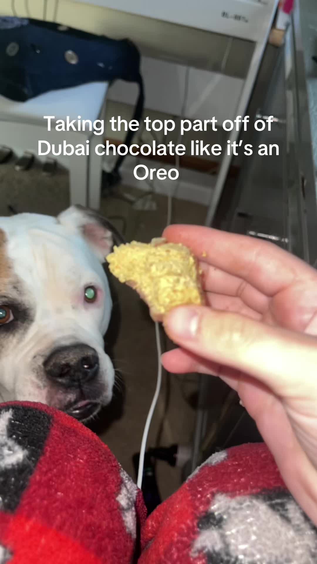 @jayloxlo0