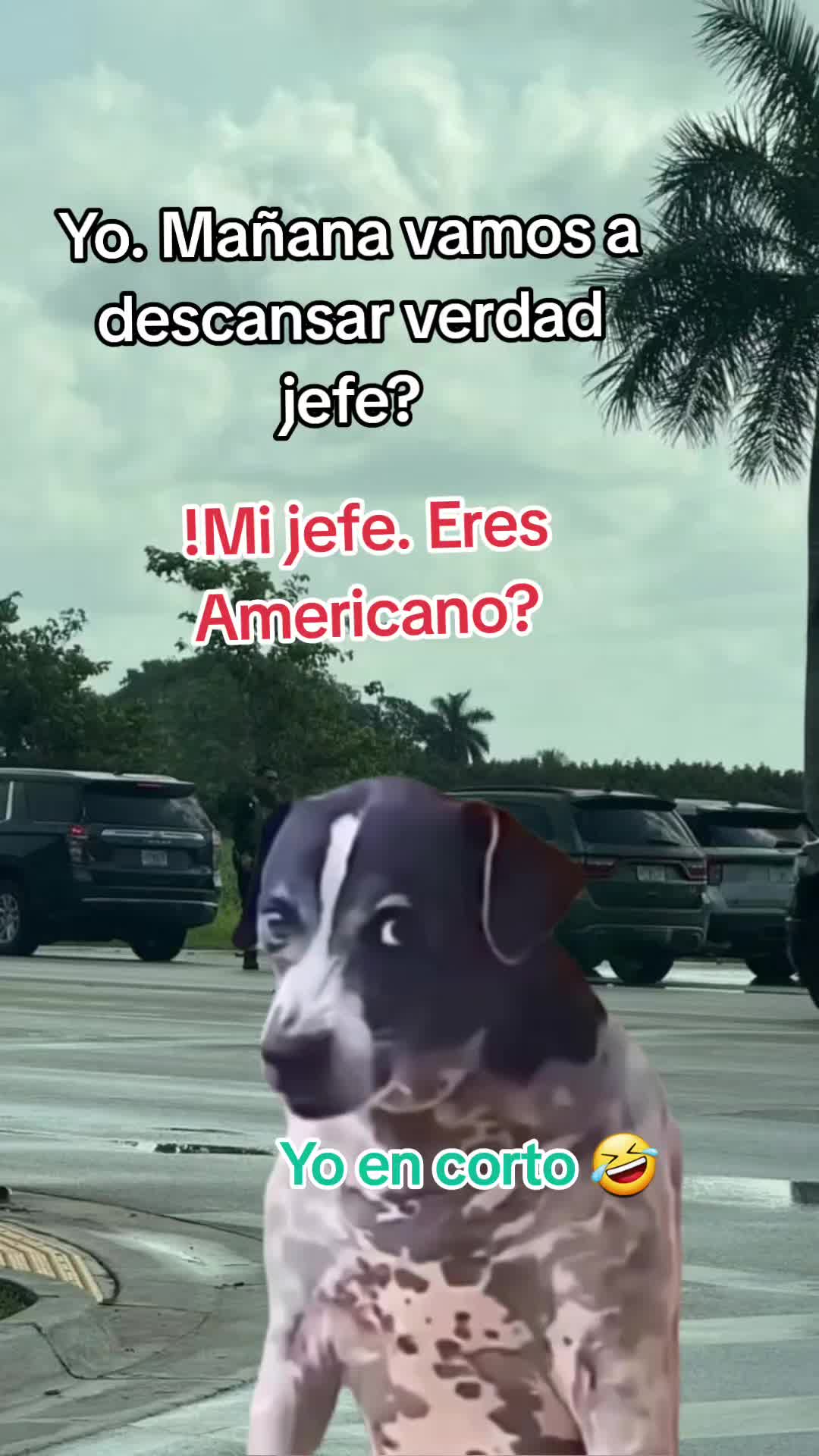 @Gabrielito 502