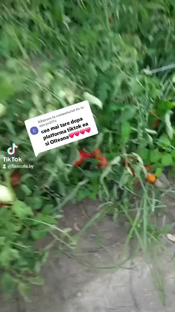 @FLEȘCUȚA