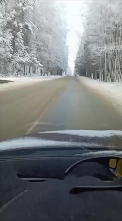@🌸Василя🌸