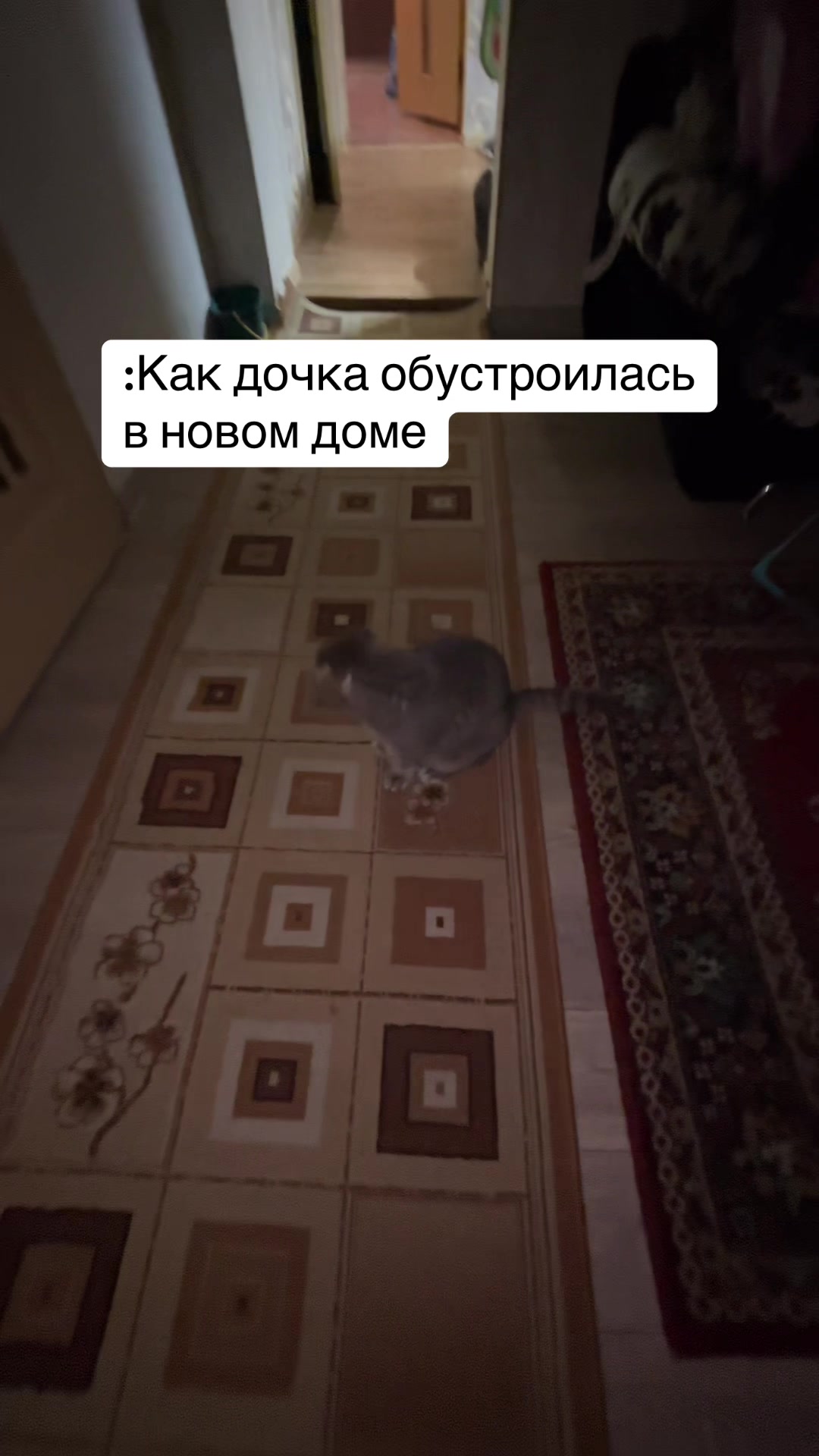 @SVIATLANA
