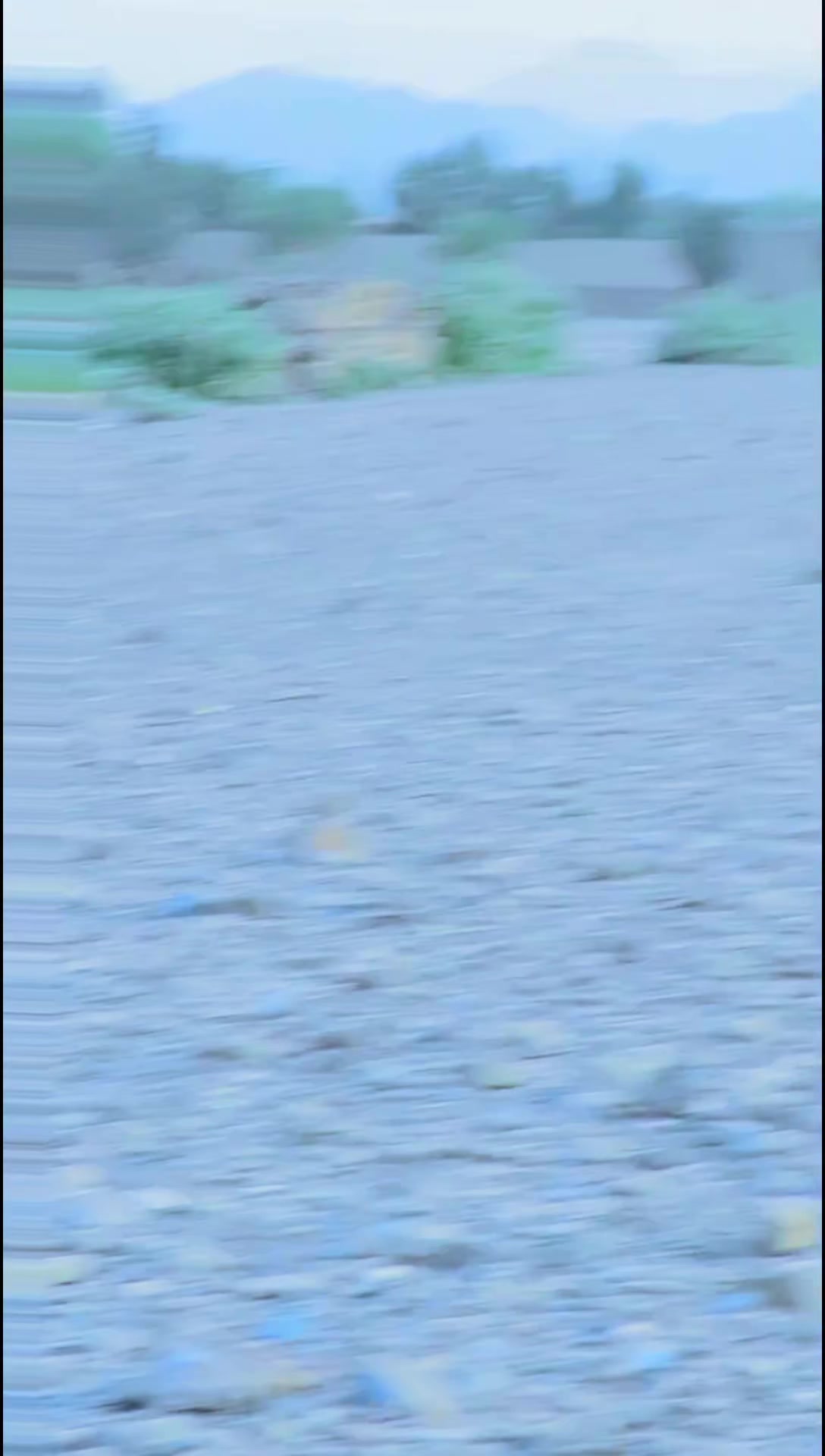 @༼ ❌↗ 𝙎𝘿𝙍.spinwal ↖ ༽❌
