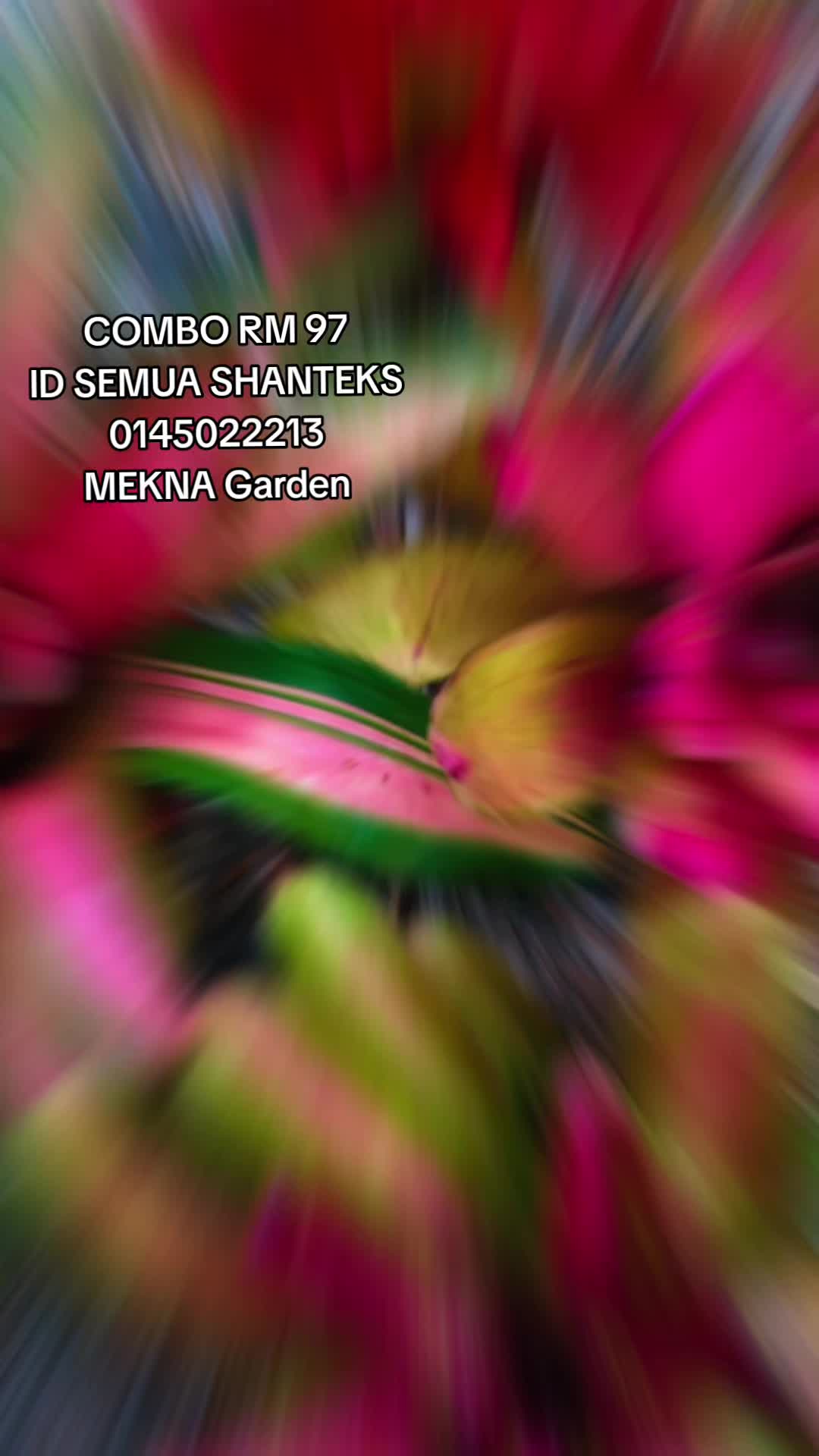 @MEKNA Garden