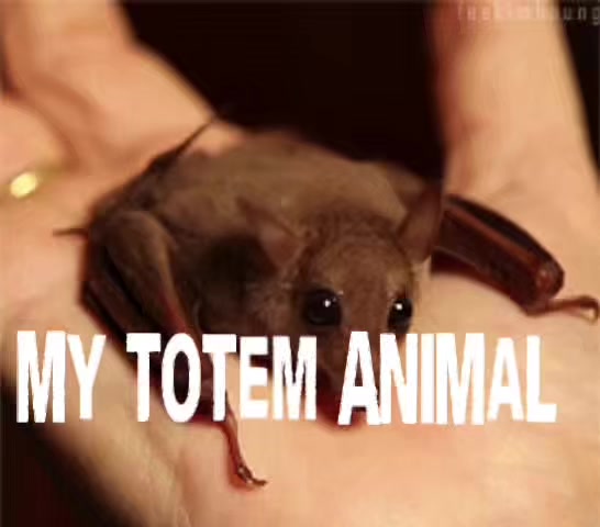 @🇨🇭🐶 Ⅎᴉ˥ᴉd 🦇🎩