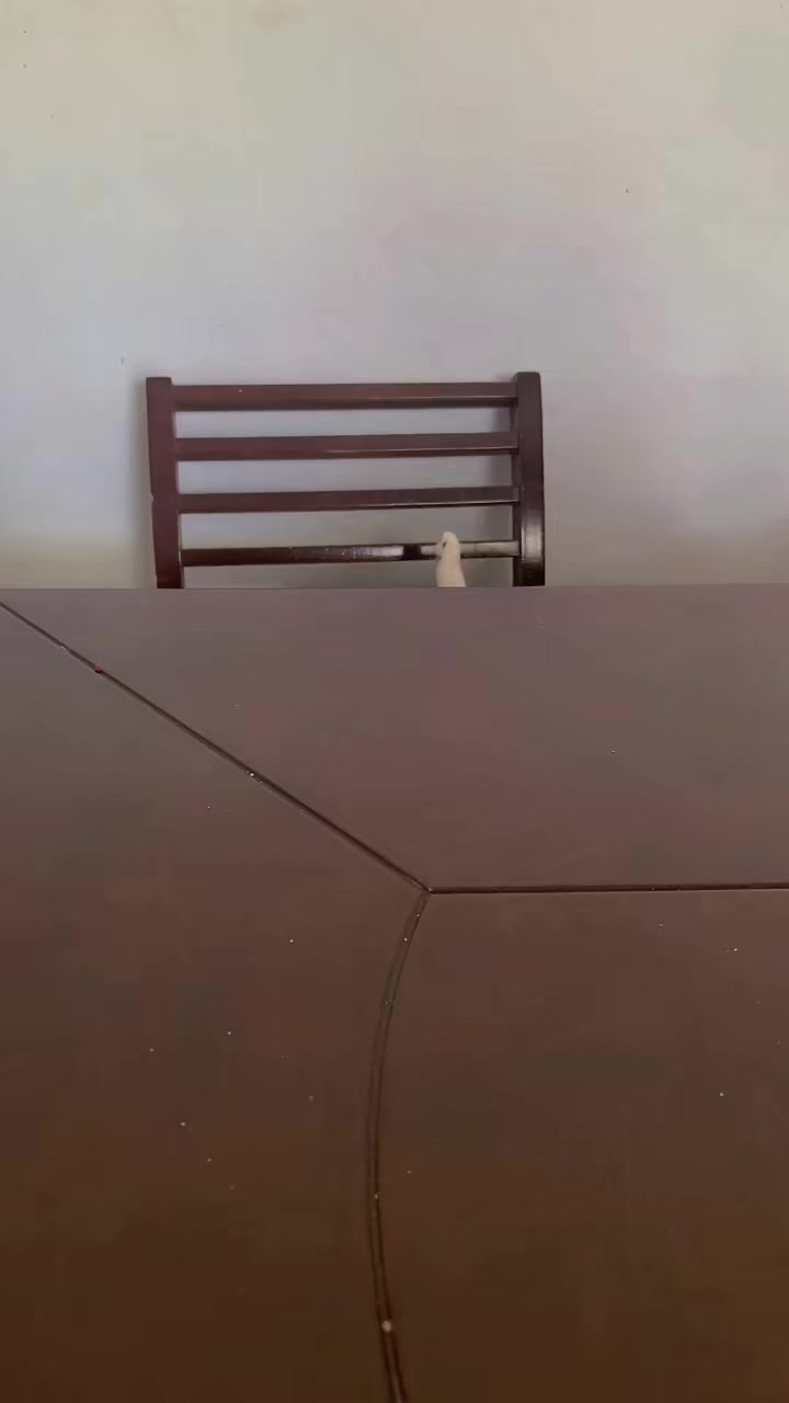 @Pilar Valencia