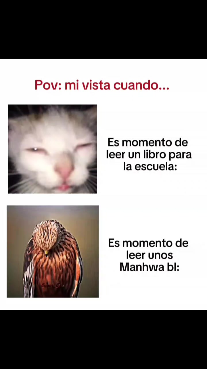 @Camilaᥫ᭡🥊