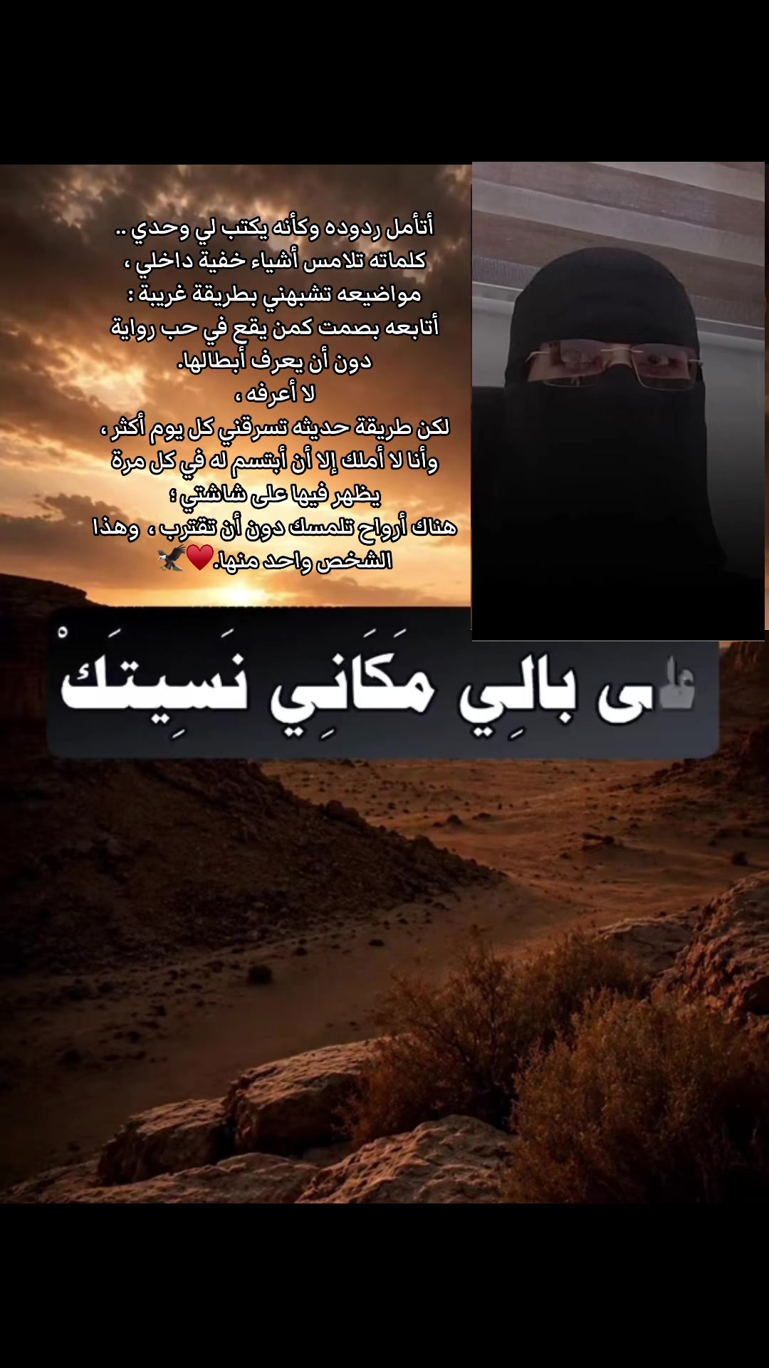 @💕شيهانة الجنوب💕