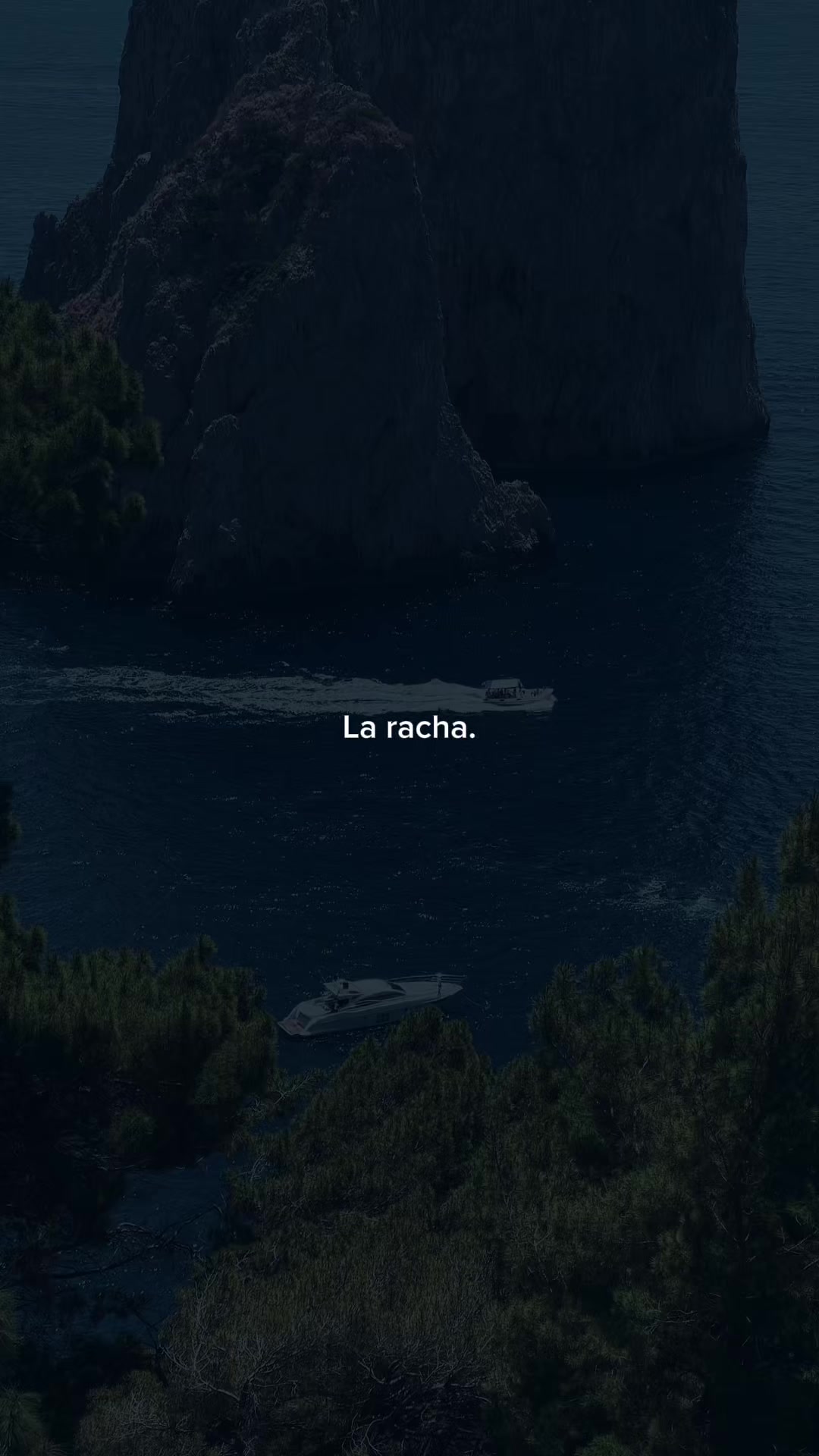 @🌴