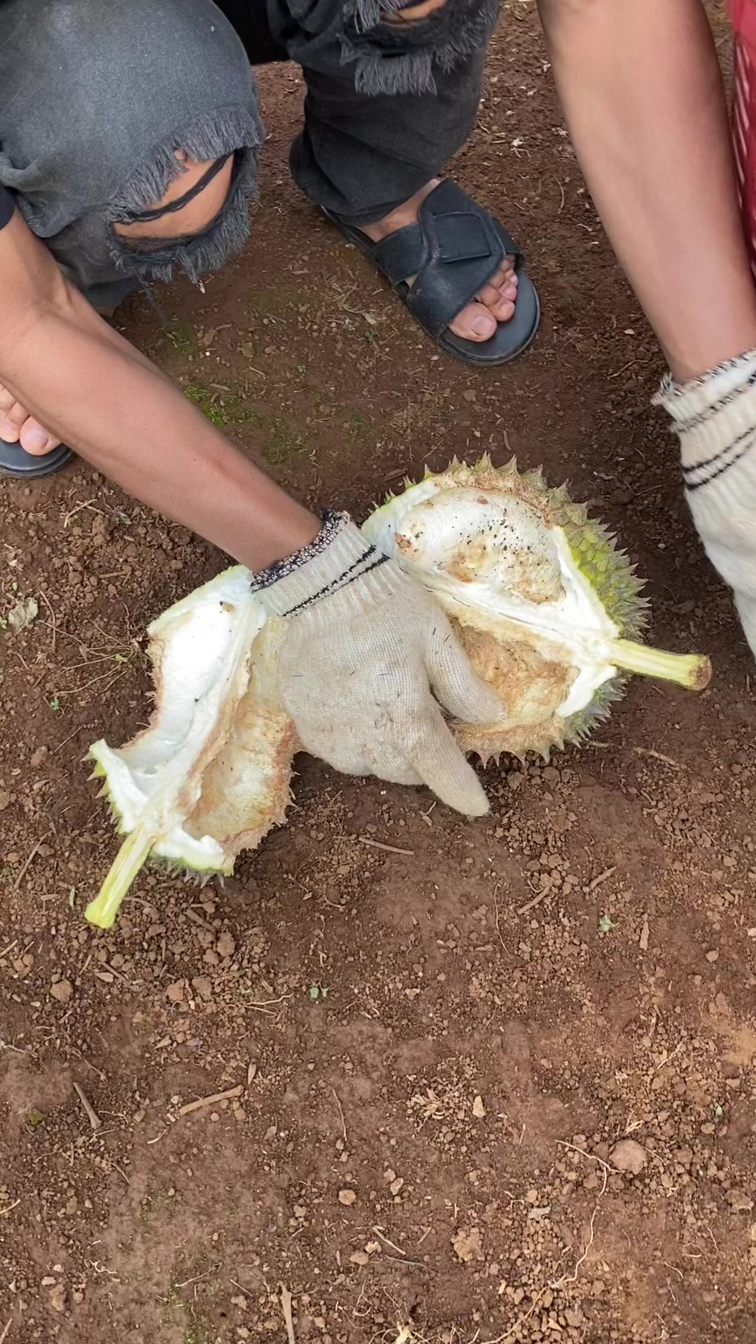 @Hiền Võ Tây Nguyên 🥰