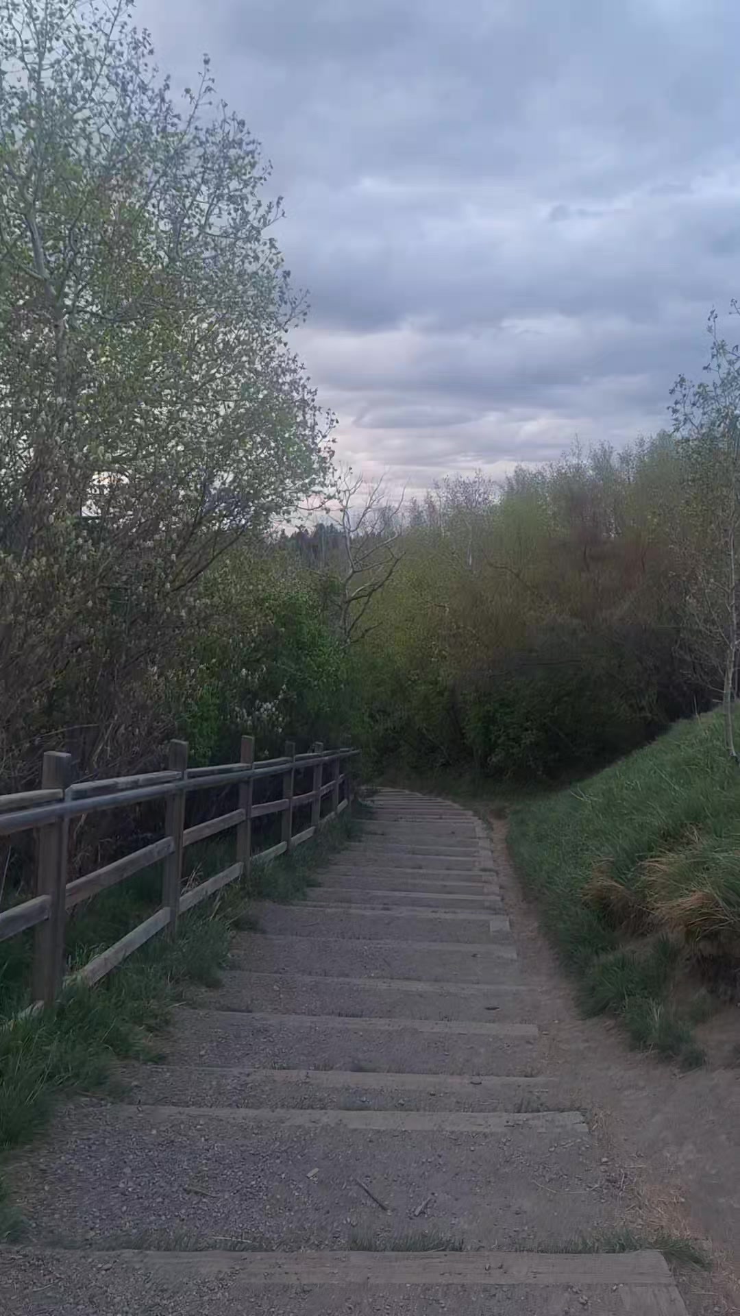 @Rozi PureSoul⛰️