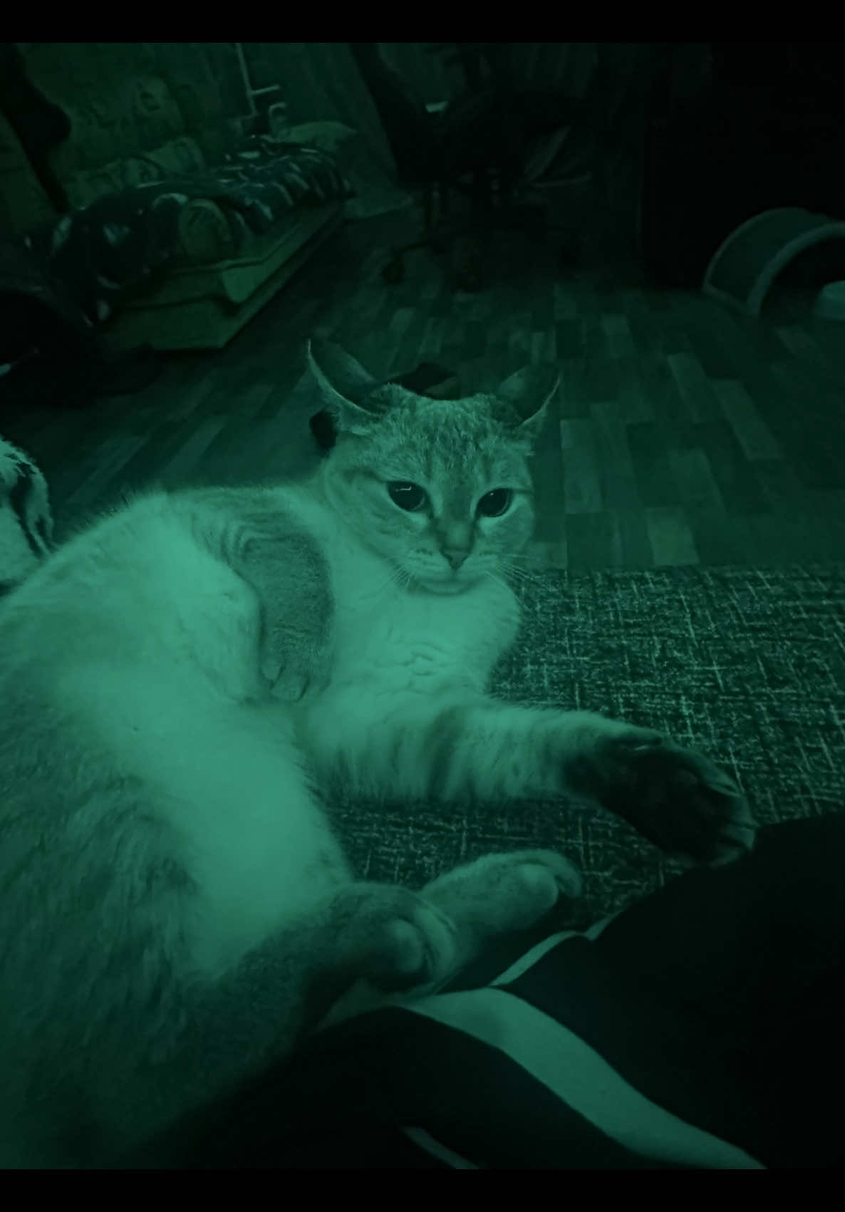 @к0лючка666