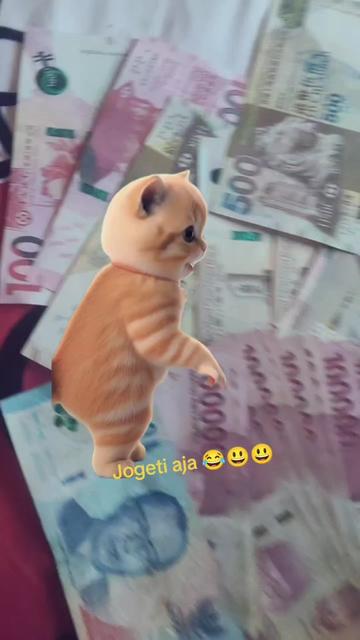 @Paijah Pezzek
