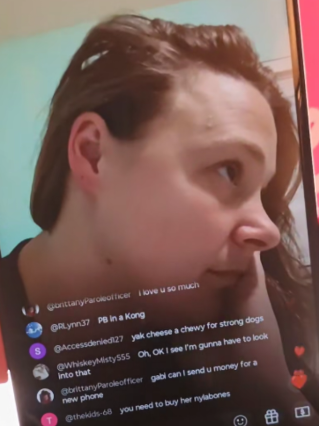 @stephdaubs