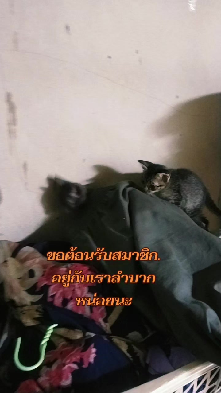 @หม้อดิน