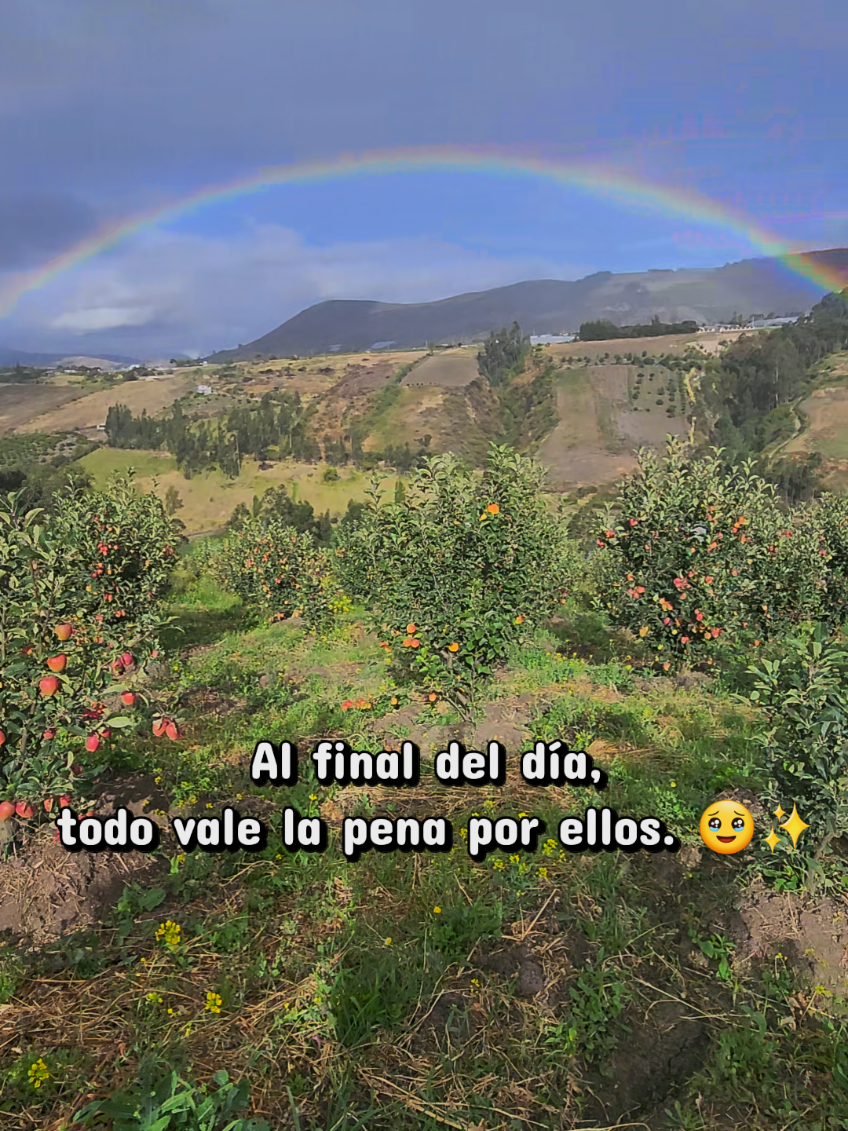 @Shir-Shir