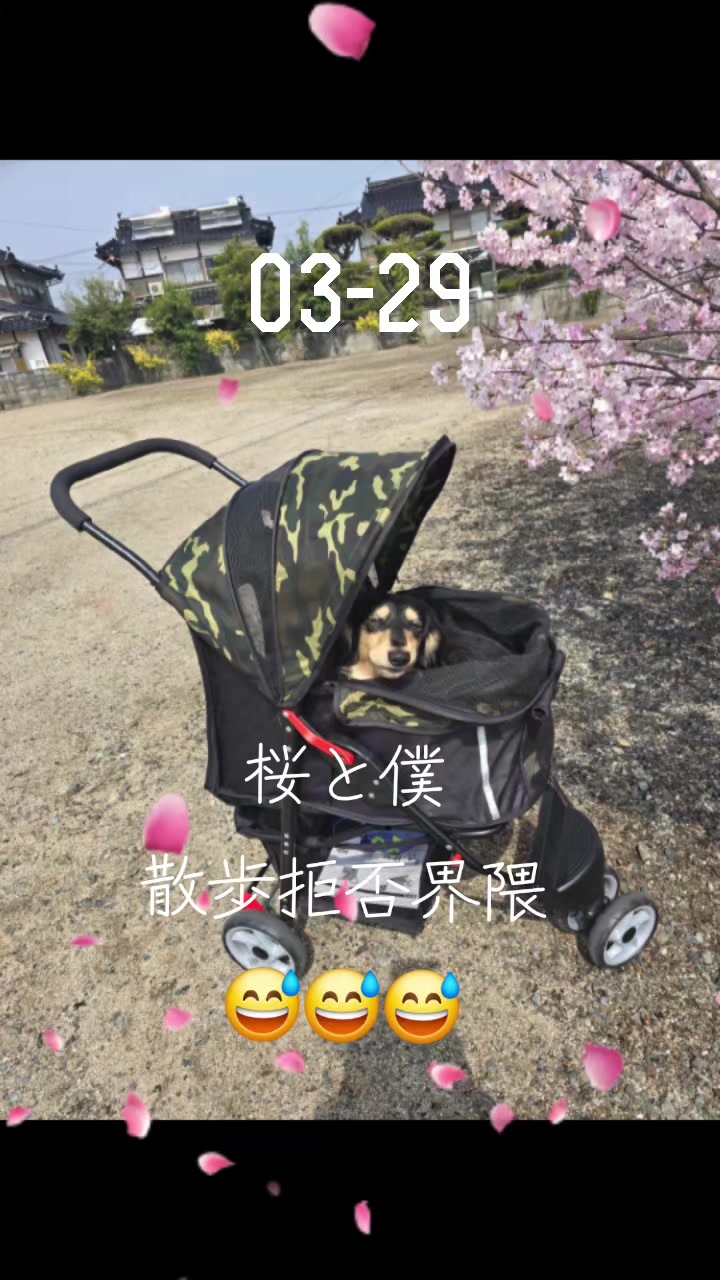 @hiro110