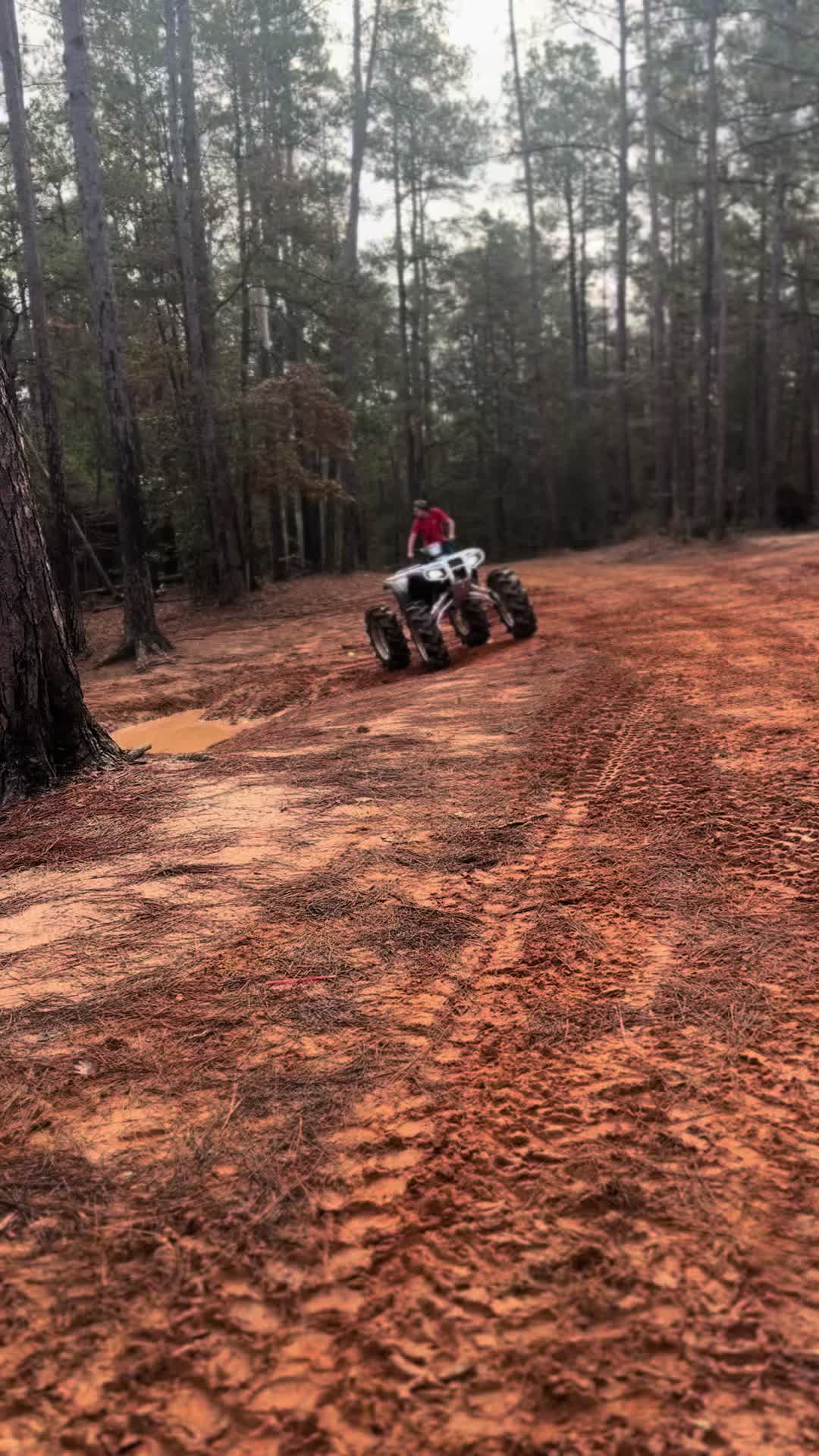 @Landon 337