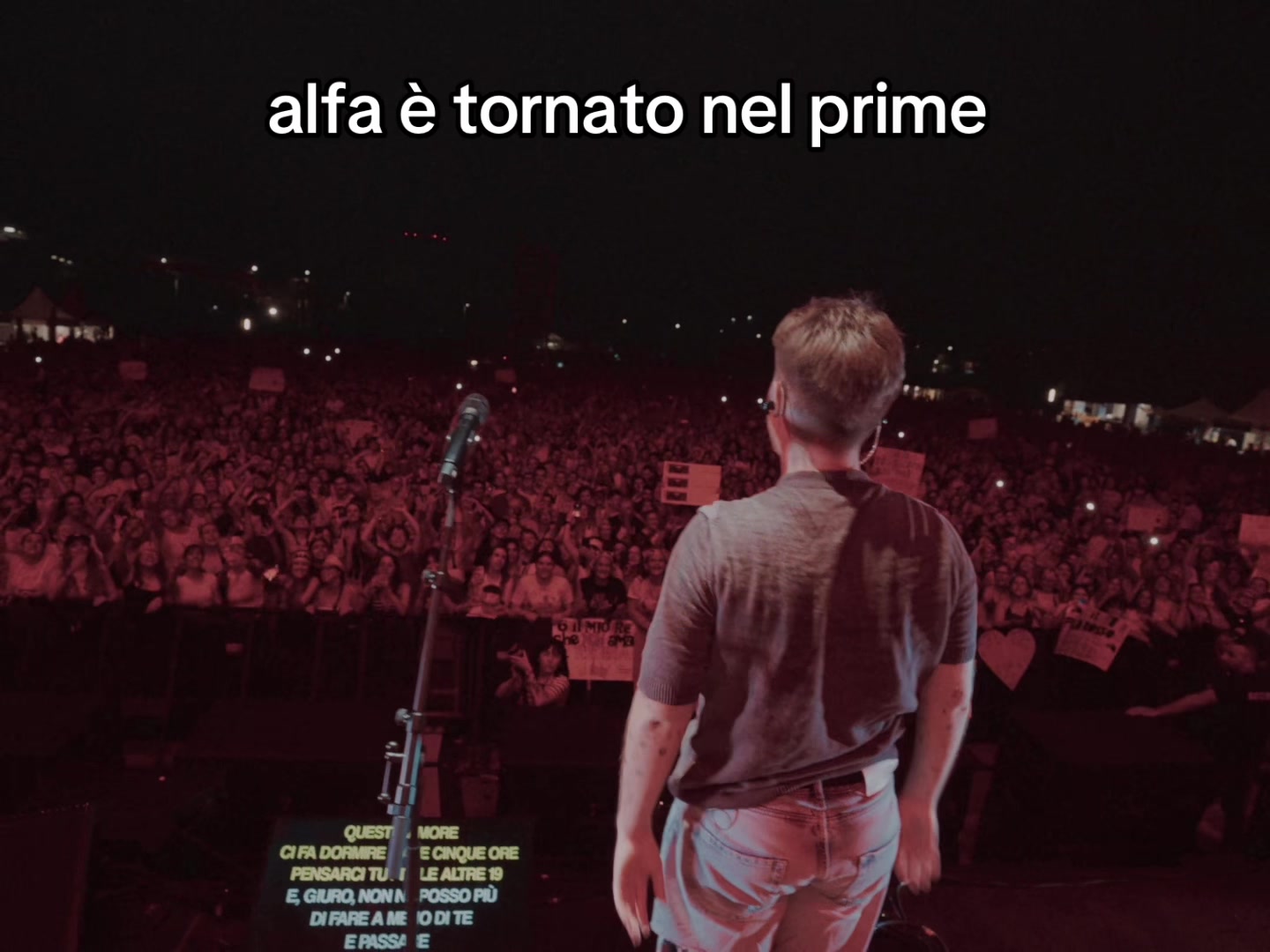 @alfa fan