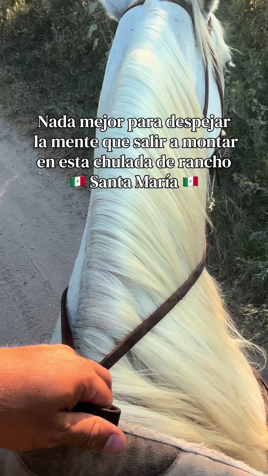 @Victor