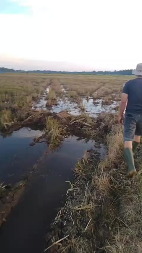 @𝗬𝘂𝘀𝘂𝗳 𝗟𝗮𝘁𝗶𝗲𝗳