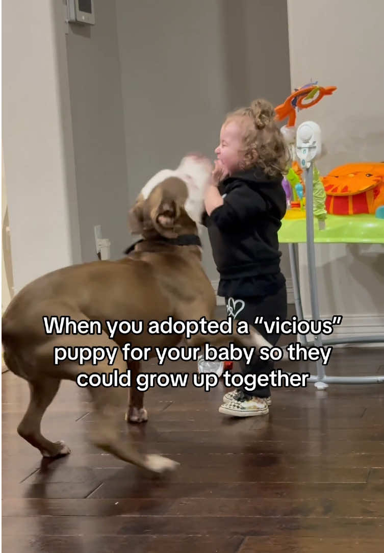 @Funny dogdia80