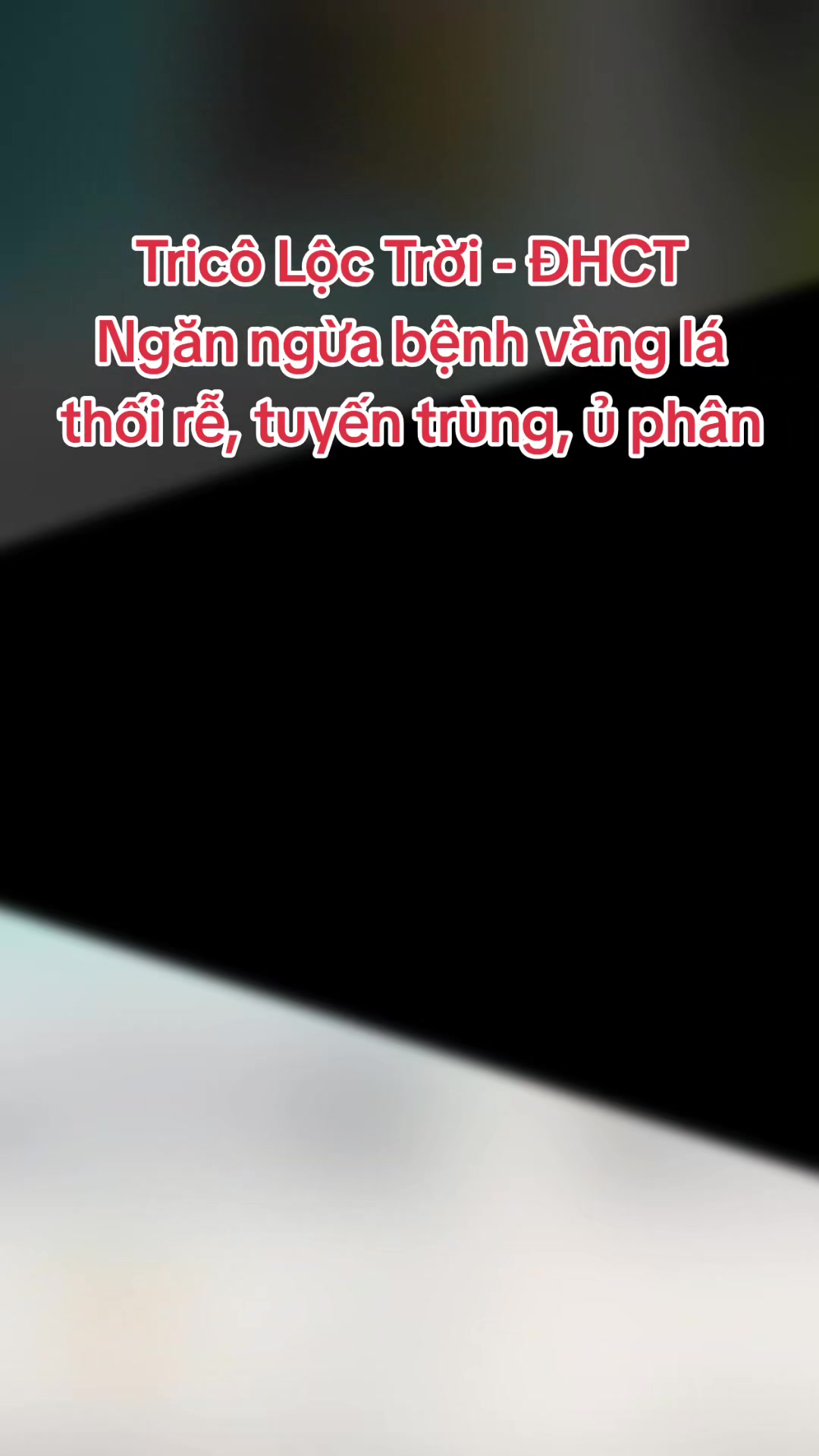 @VTNN Minh Tuấn