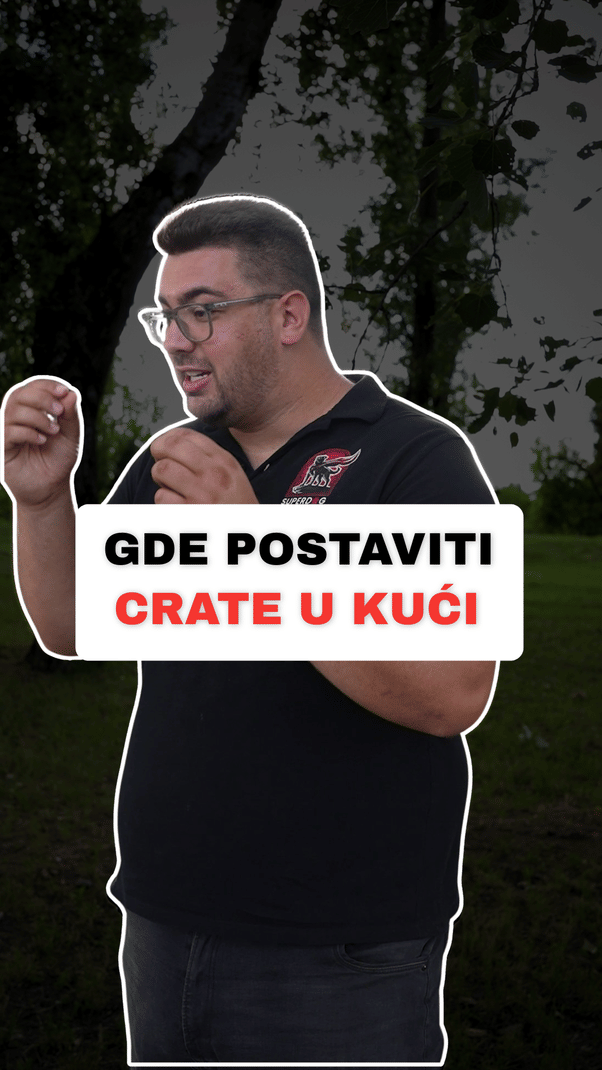 @superdog.akademija