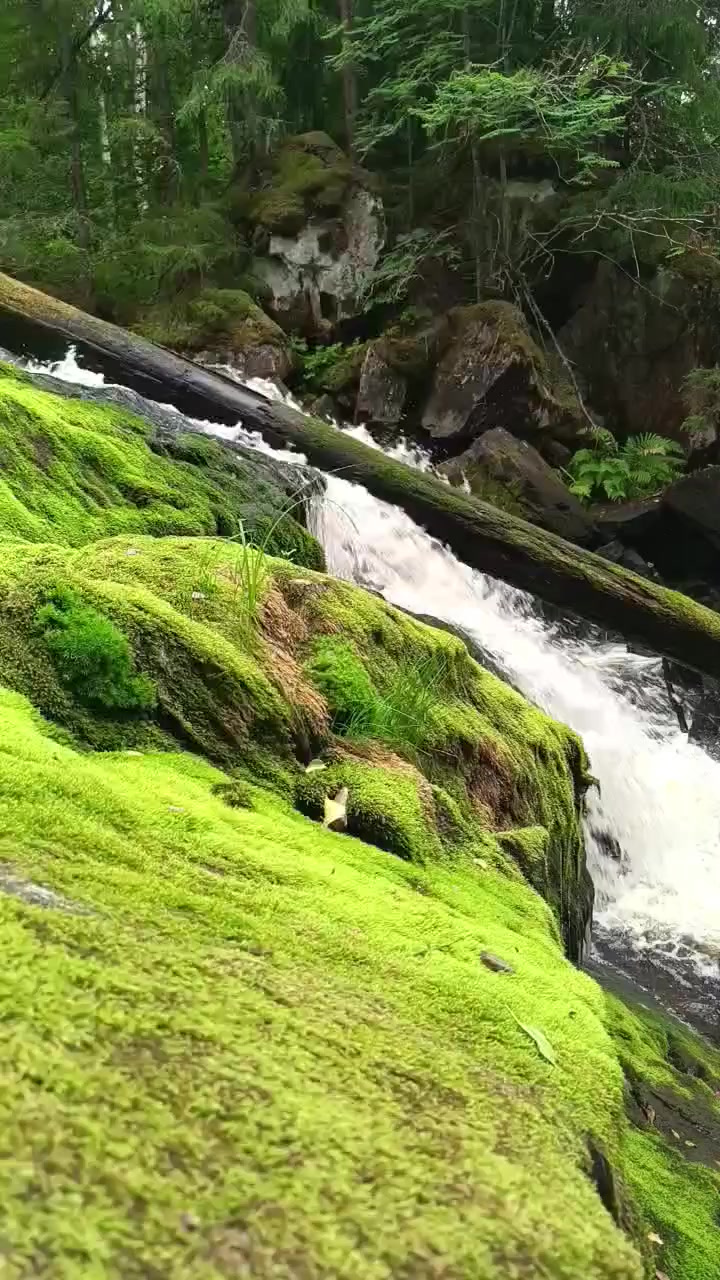 @Дмитрий Бондарь