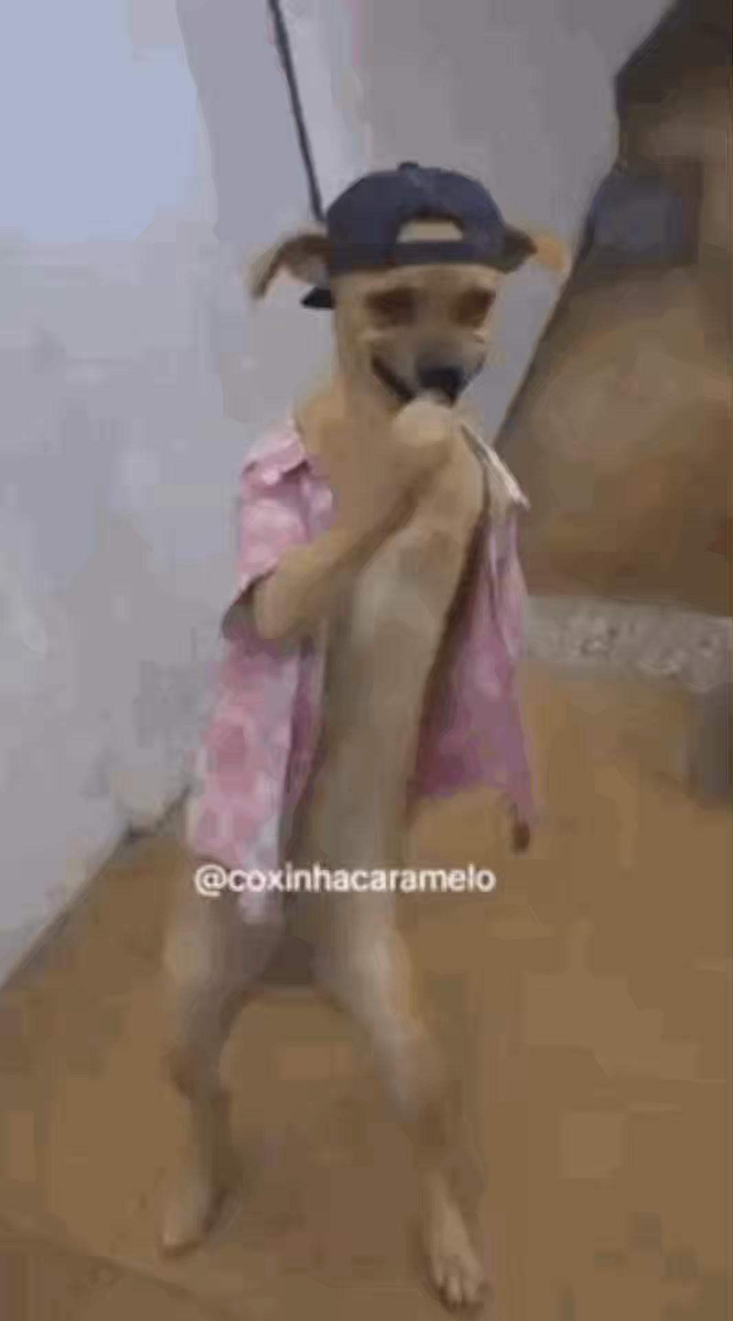 @Sariiiiiiiii