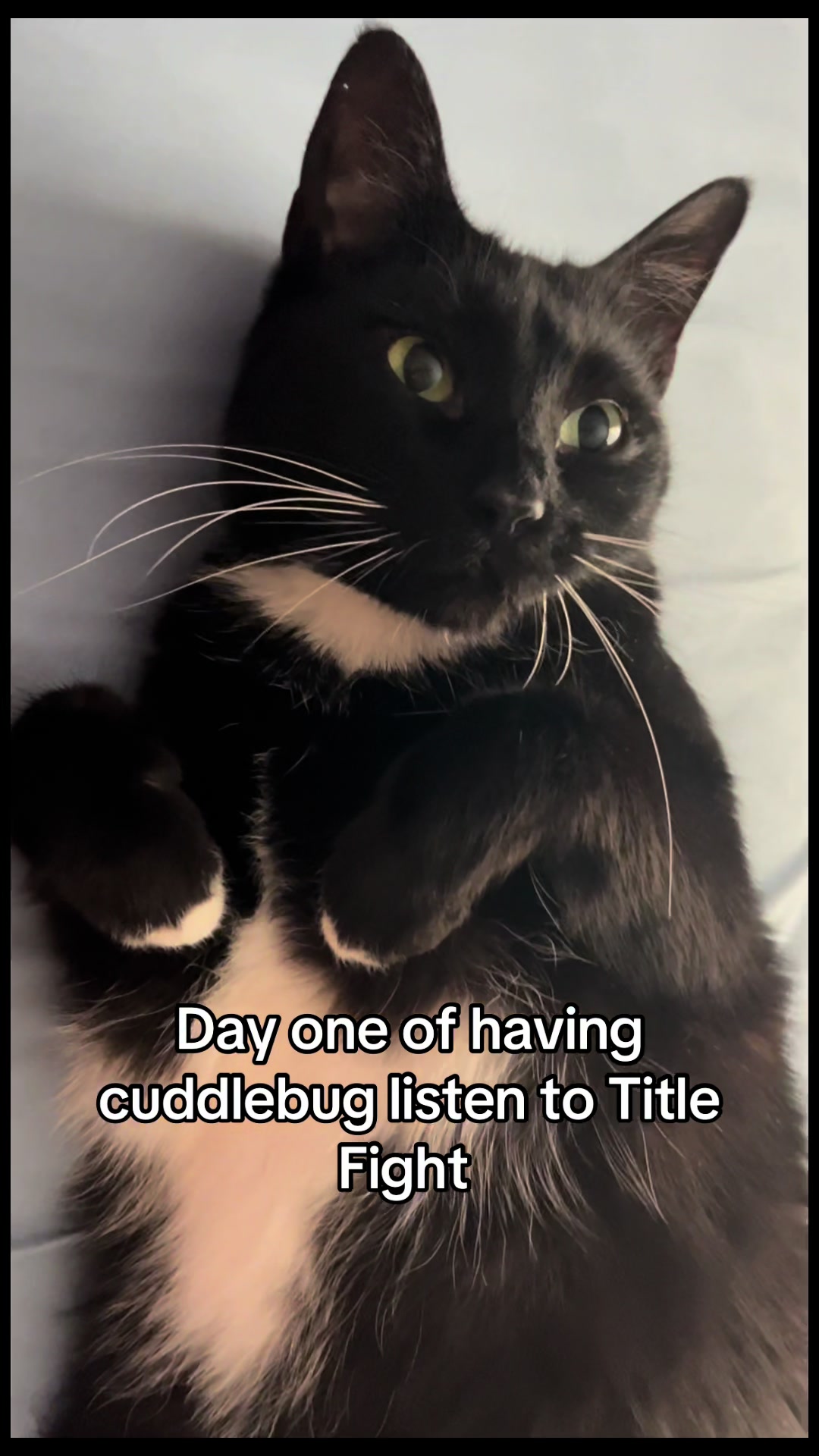 @CuddleBug