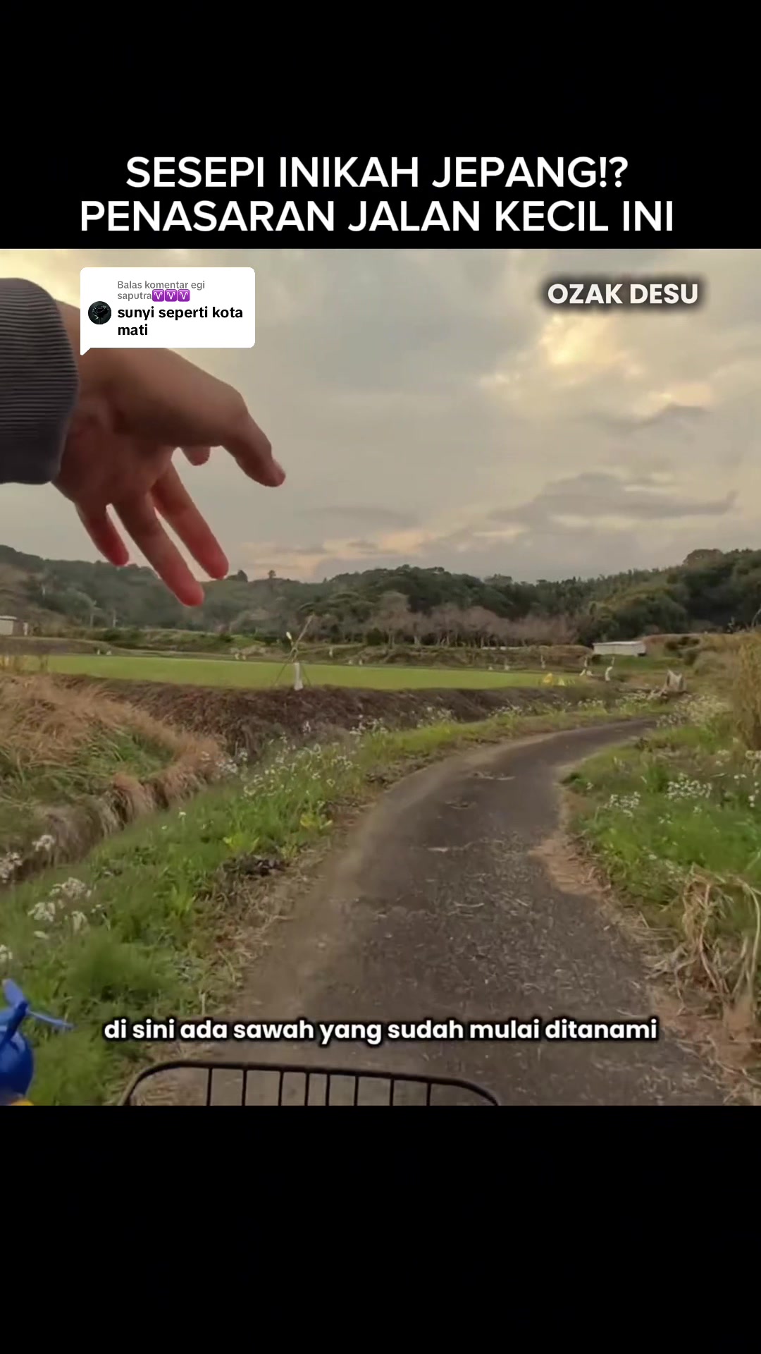 @OZAK DESU
