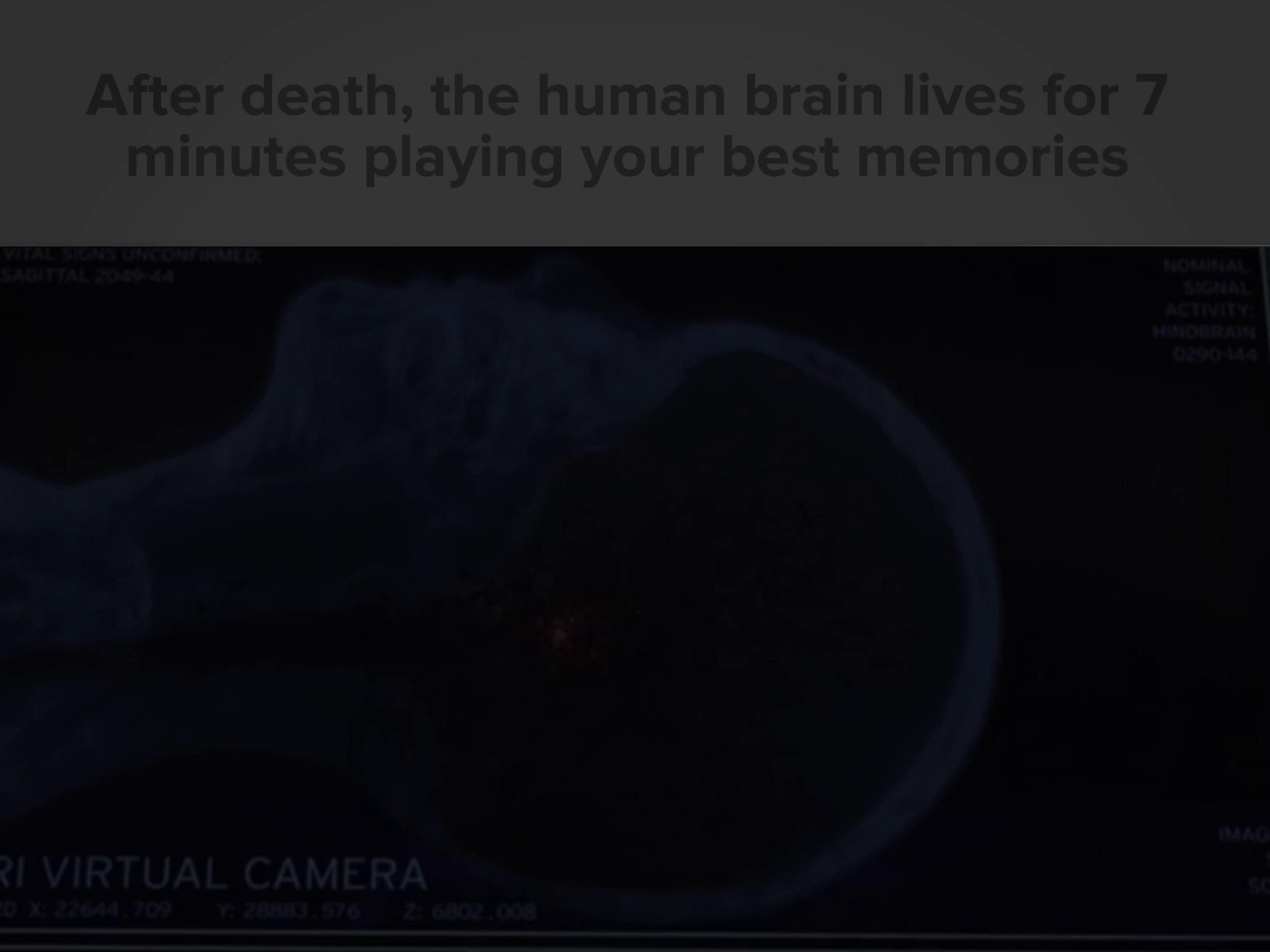 @lgvfx