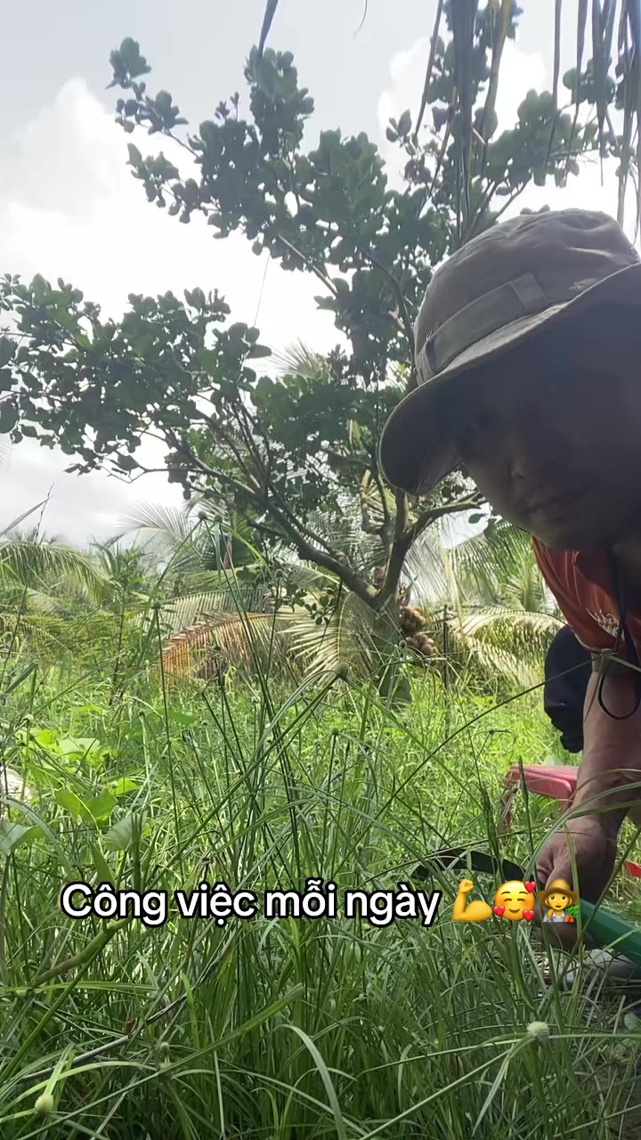 @Trần C&ocirc;ng B&igrave;nh👨&zwj;🌾👨&zwj;🌾👨&zwj;🌾