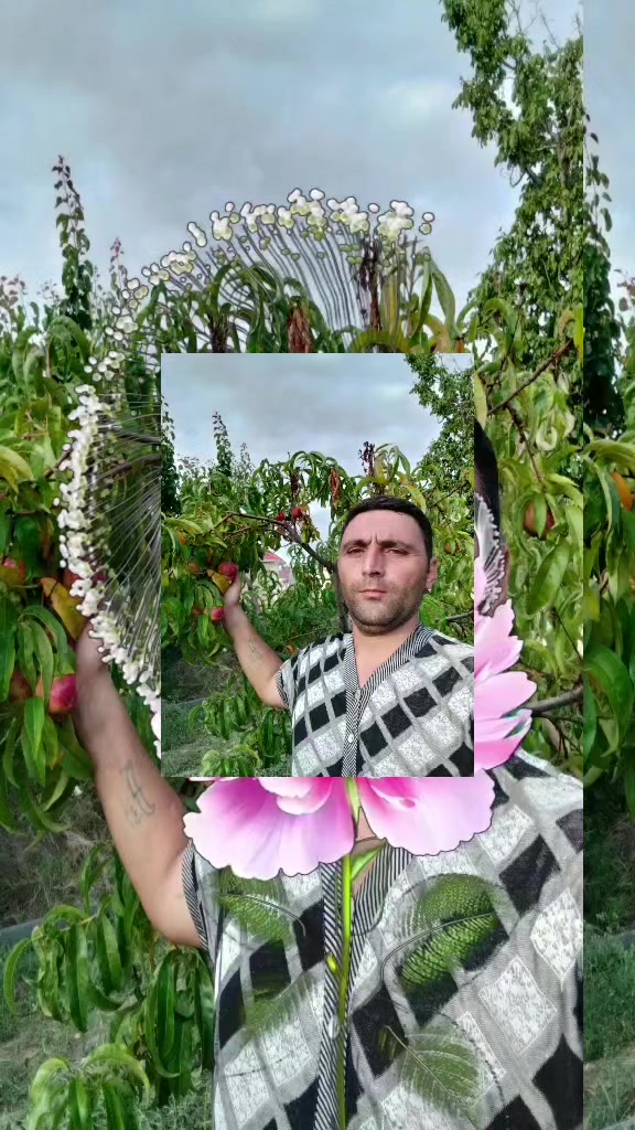 @mamed ceferli