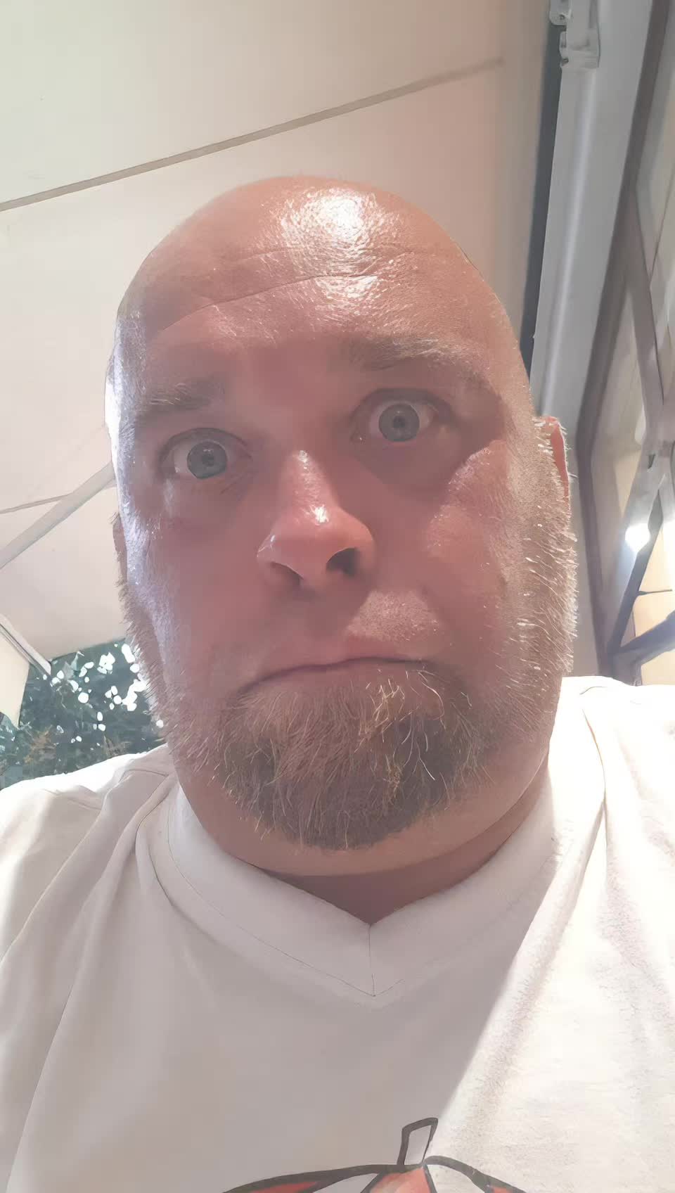 @MIRKO SEBENI