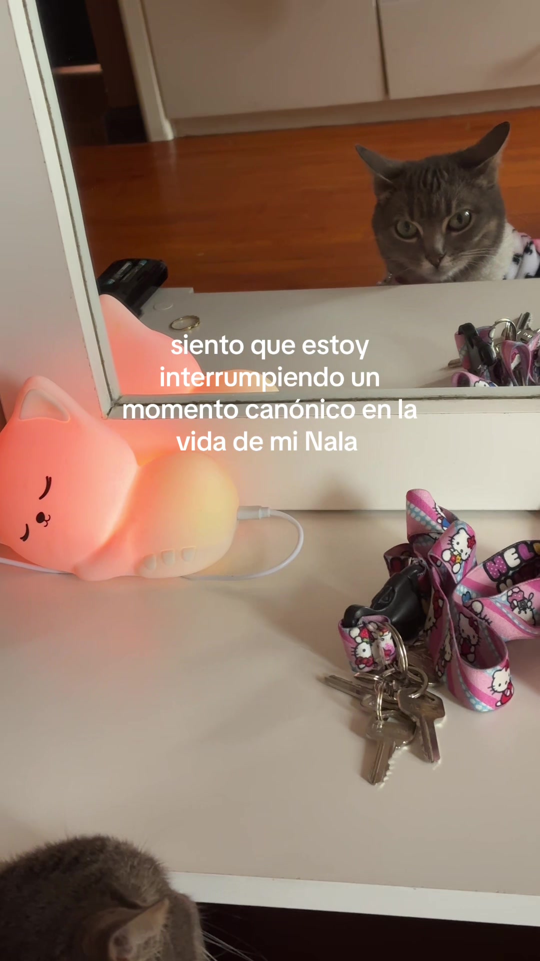 @🎀ARY🧸
