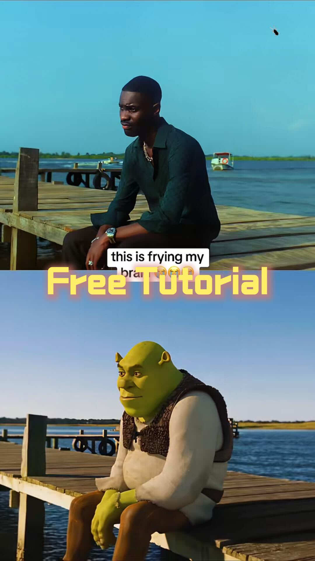 @Luna