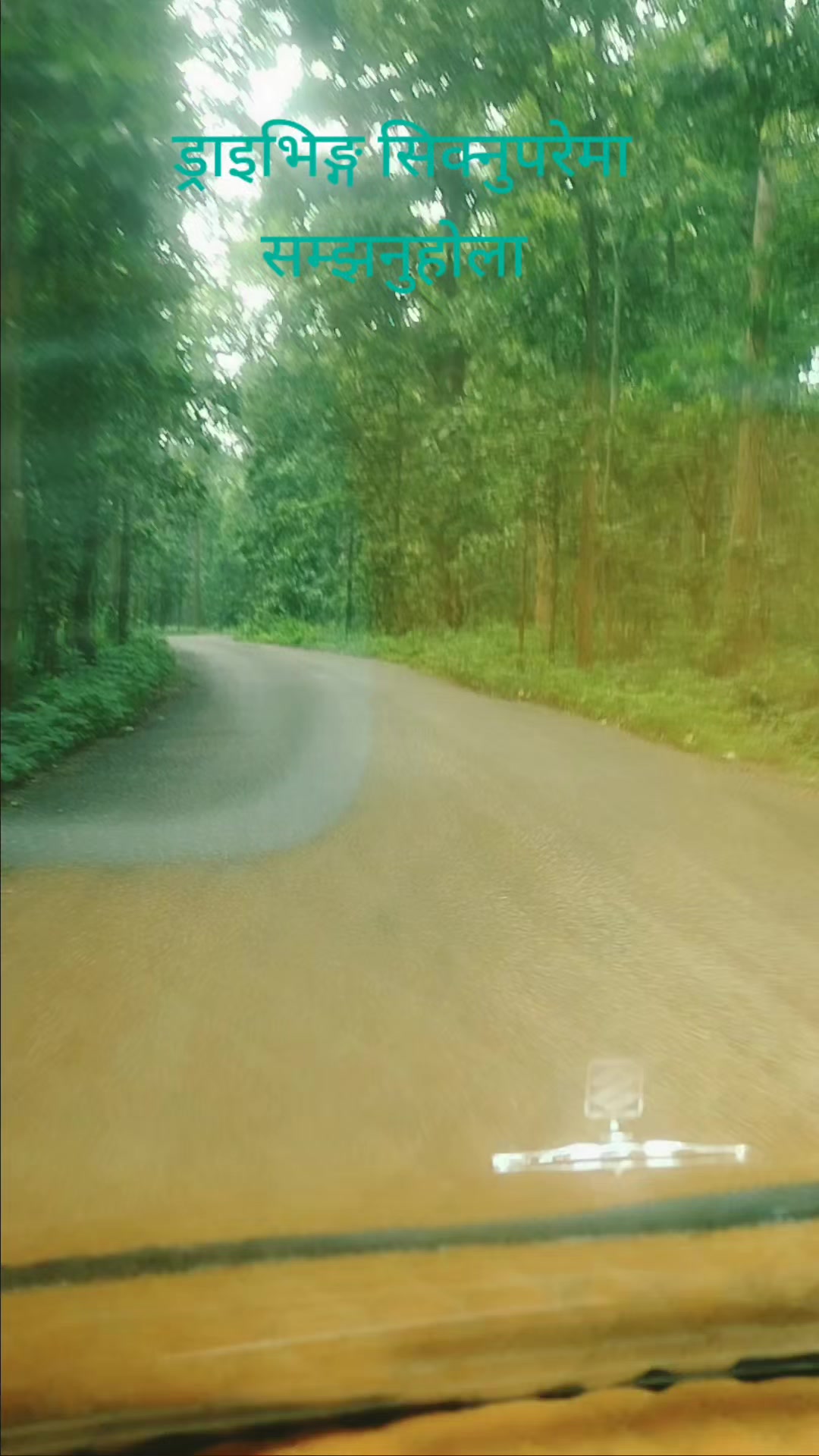 @बासु कोइराला (Basu Koirala)