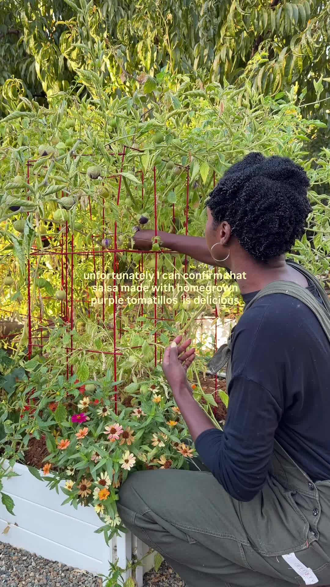 @curlycultivators