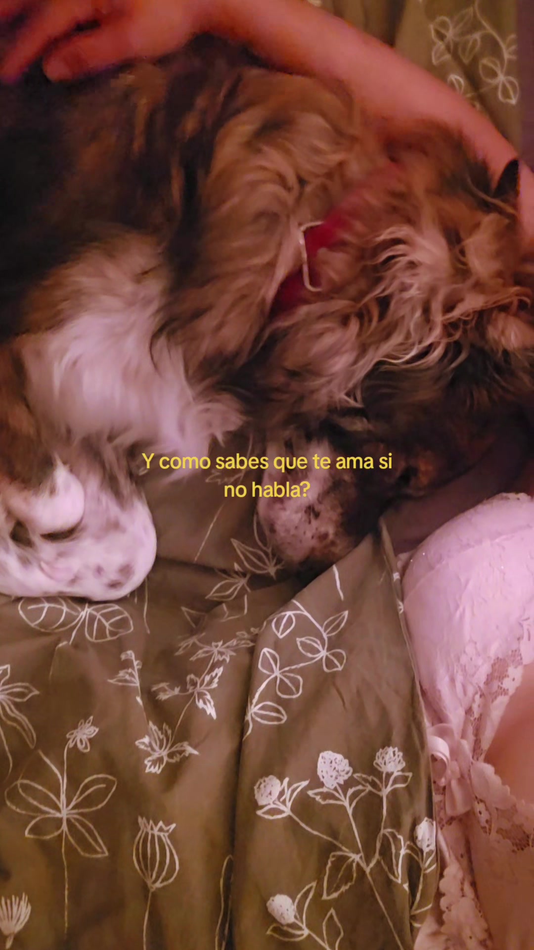 @Aylin A.
