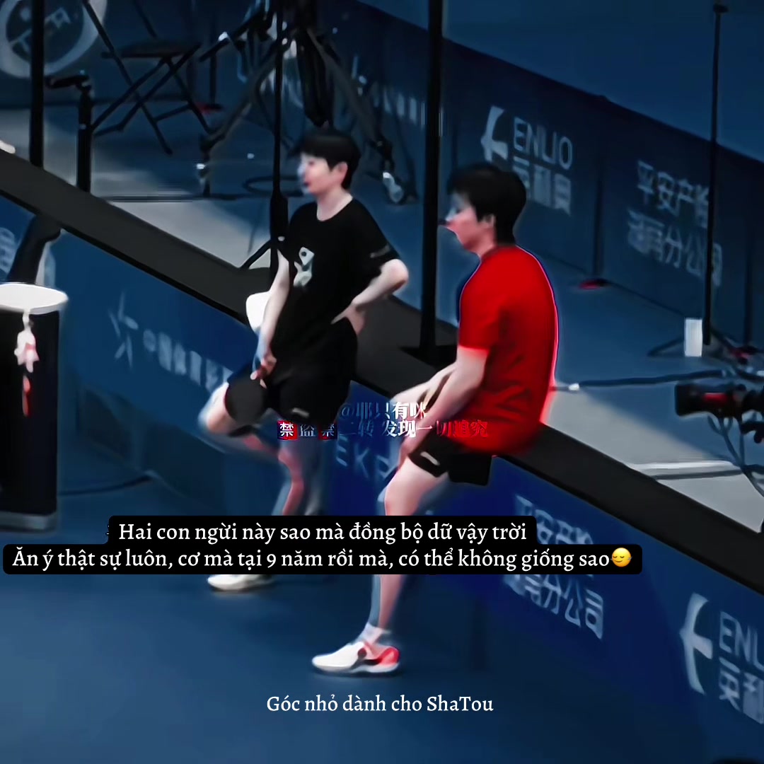 @Góc nhỏ dành cho ShaTou🦁🦈❤️