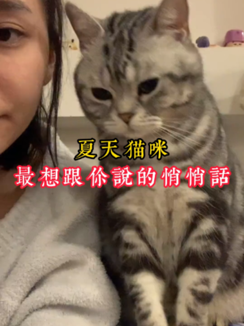 @catology