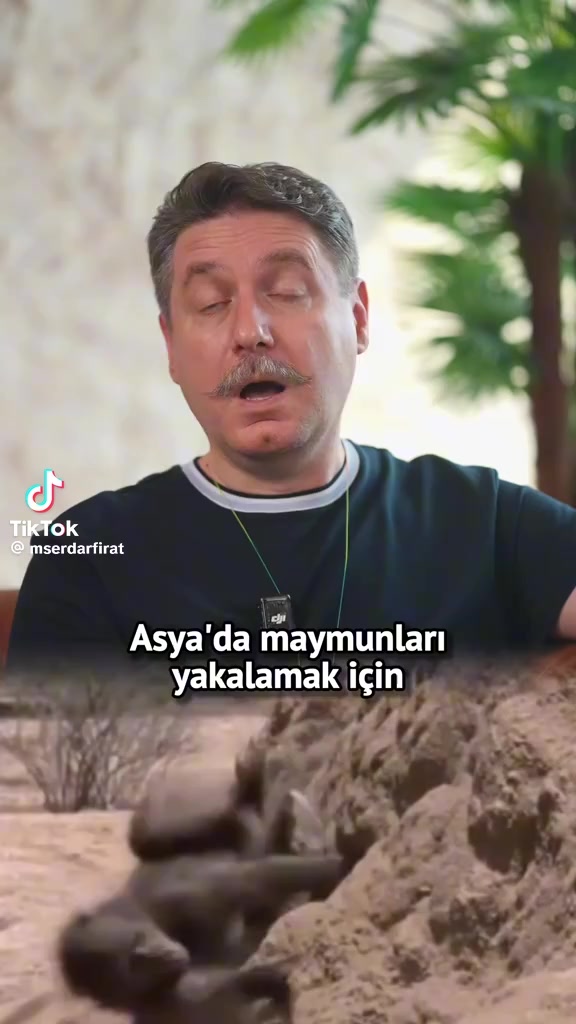@EROL BOZKURT
